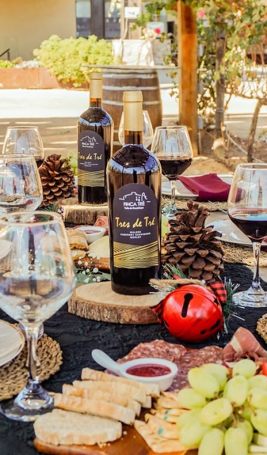 FINCA TRE EVENTOS (3)